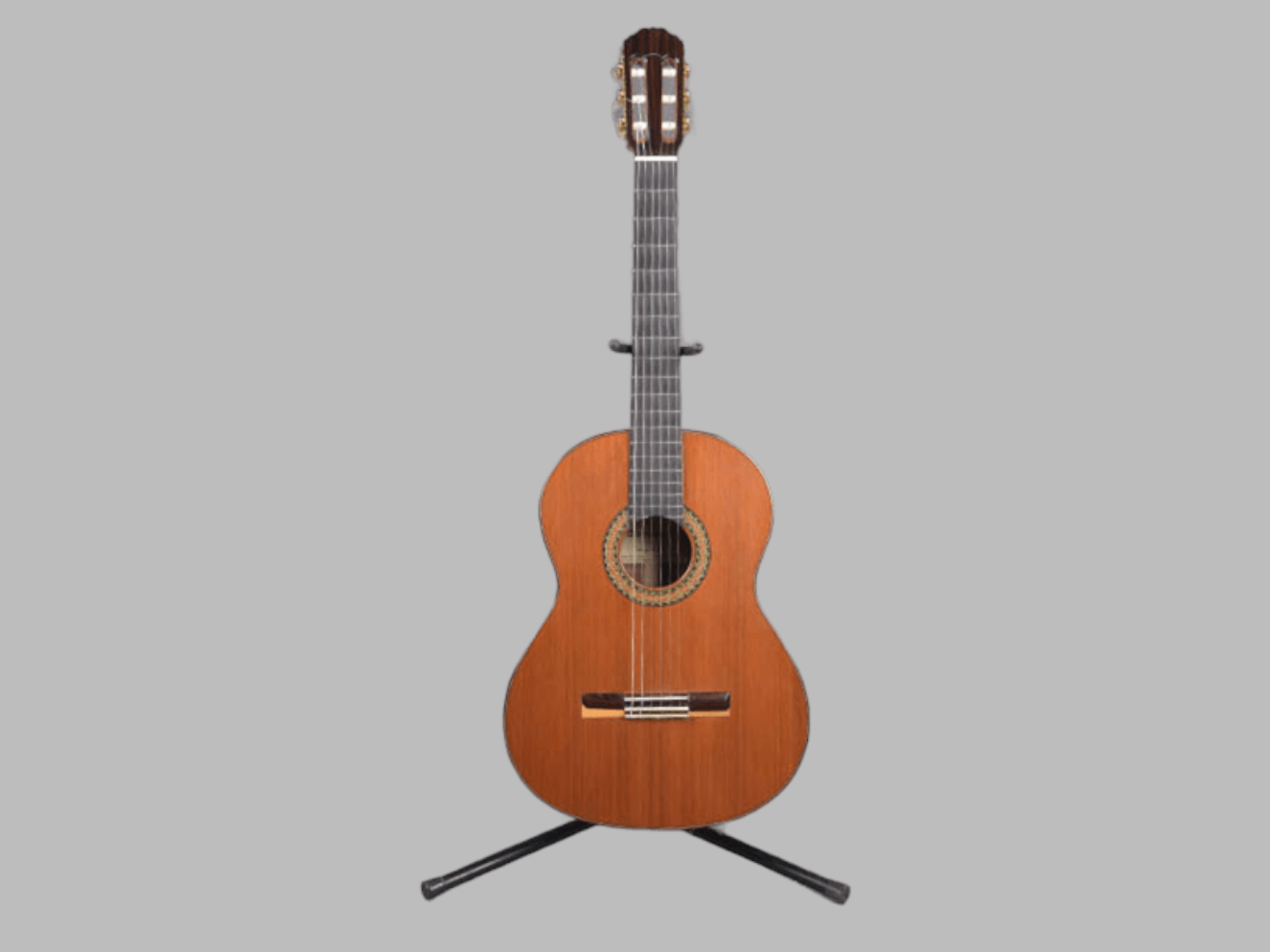 guitarra
